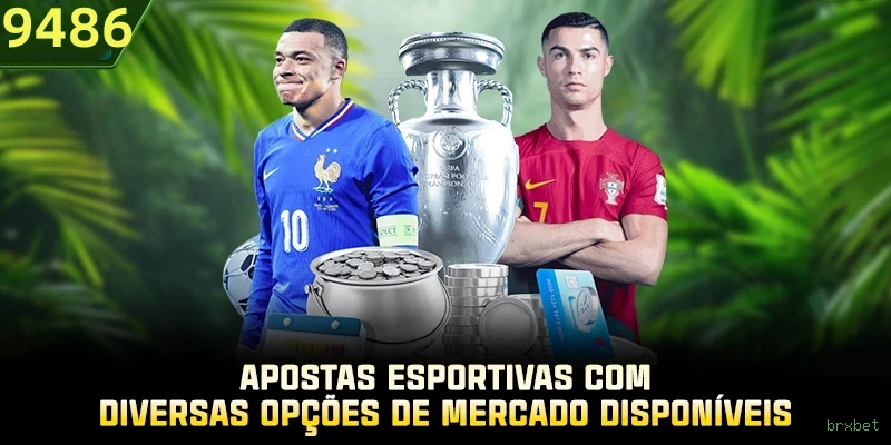 Imagem promocional do programa VIP da brxbet
